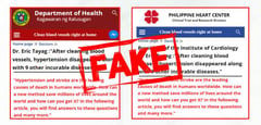 DOH warns public vs. fake website using ex-official's name